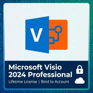 Microsoft Visio 2024 Professional | Lifetime License (Bind to Account)