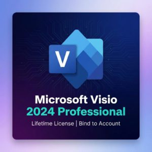 Microsoft Visio 2024 Professional | Lifetime License (Bind to Account)
